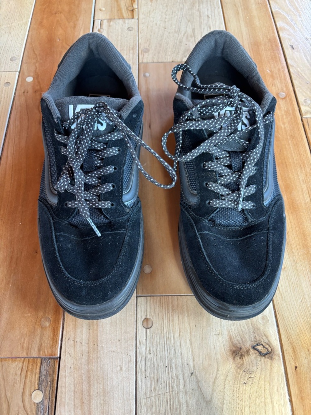 Vans Black Low-Top Men’s Skate Sneakers